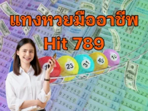 แทงหวยมืออาชีพ Hit789