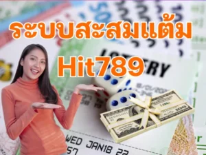 ระบบสะสมแต้ม Hit789